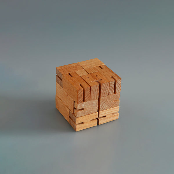 Mini Cubebot